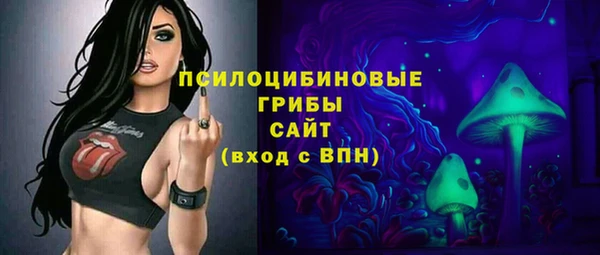 индика Вязники